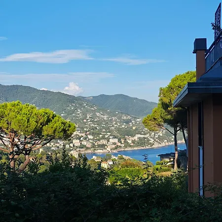 In * Rapallo
